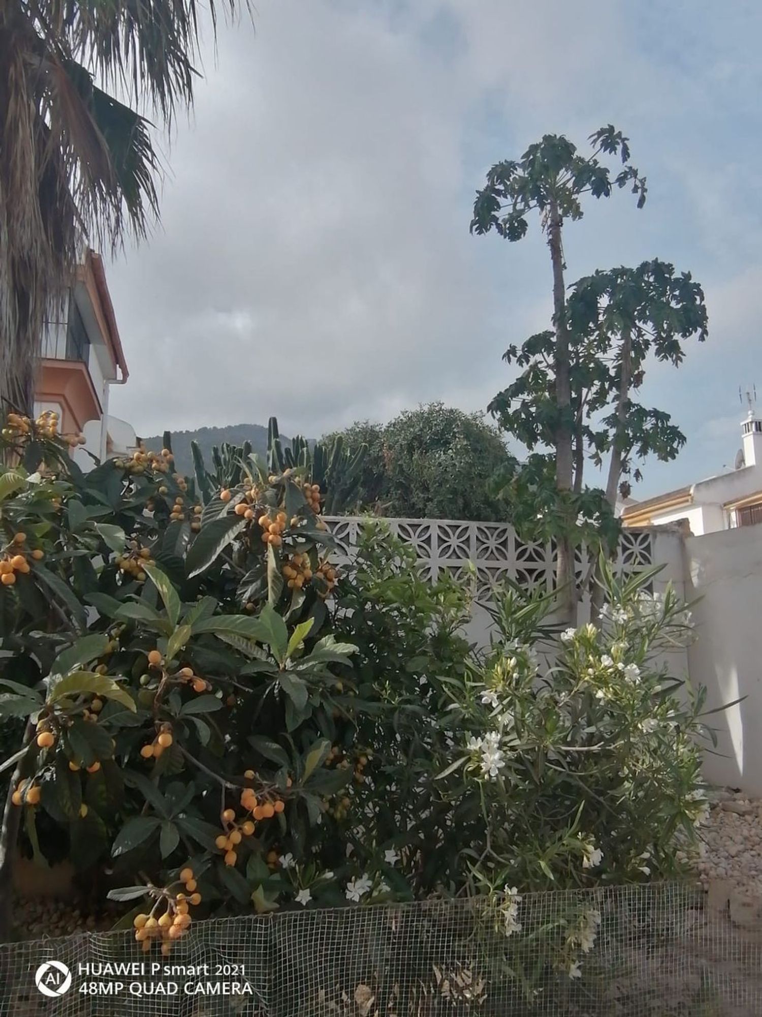 Chalet pareado en Calle Canoa, 8, Capellanía - Retamar, Capellanía - Retamar - Foto 17