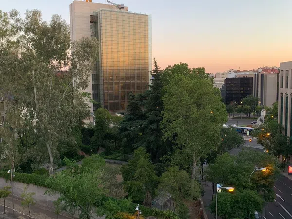 Piso en Barrio Castellana - Foto 8