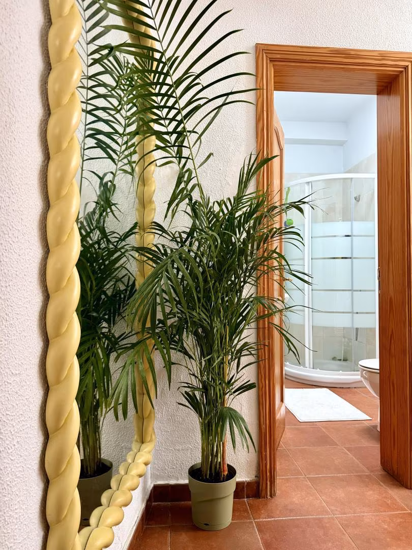 Casa adosada en  GC-320 72 - Foto 3