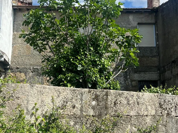 Casa de pueblo en Ou-310, 50 - Foto 4