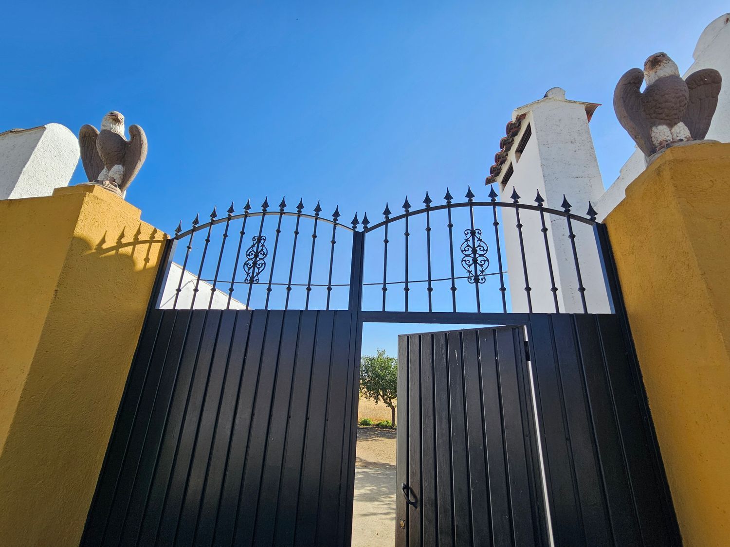 Finca rústica en Pilar de Cordoba s/n - Foto 3