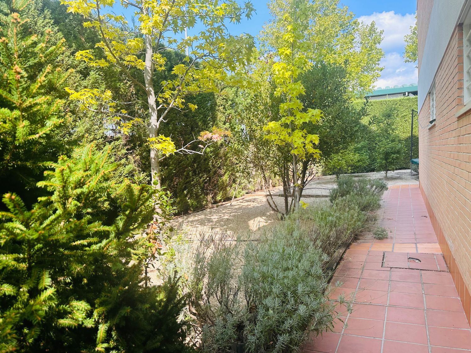 Piso en Juniperos, El Cantizal - Foto 60