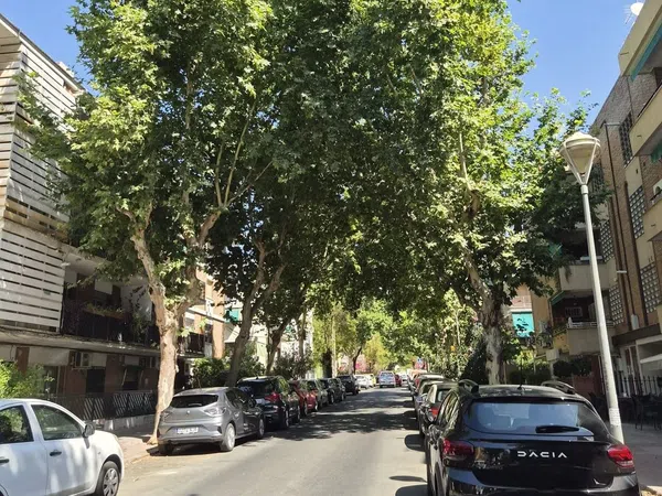 Piso en Calle el Nogal, 8, Santa Rosa - San José - Foto 2