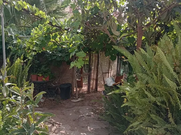 Finca rústica en Calle Galdames, 108, Ayamonte Pueblo, Ayamonte Pueblo - Foto 3