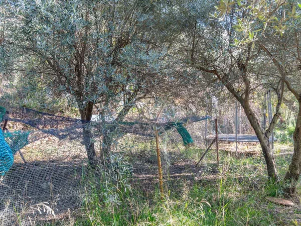 Cortijo en Solana s/n - Foto 33