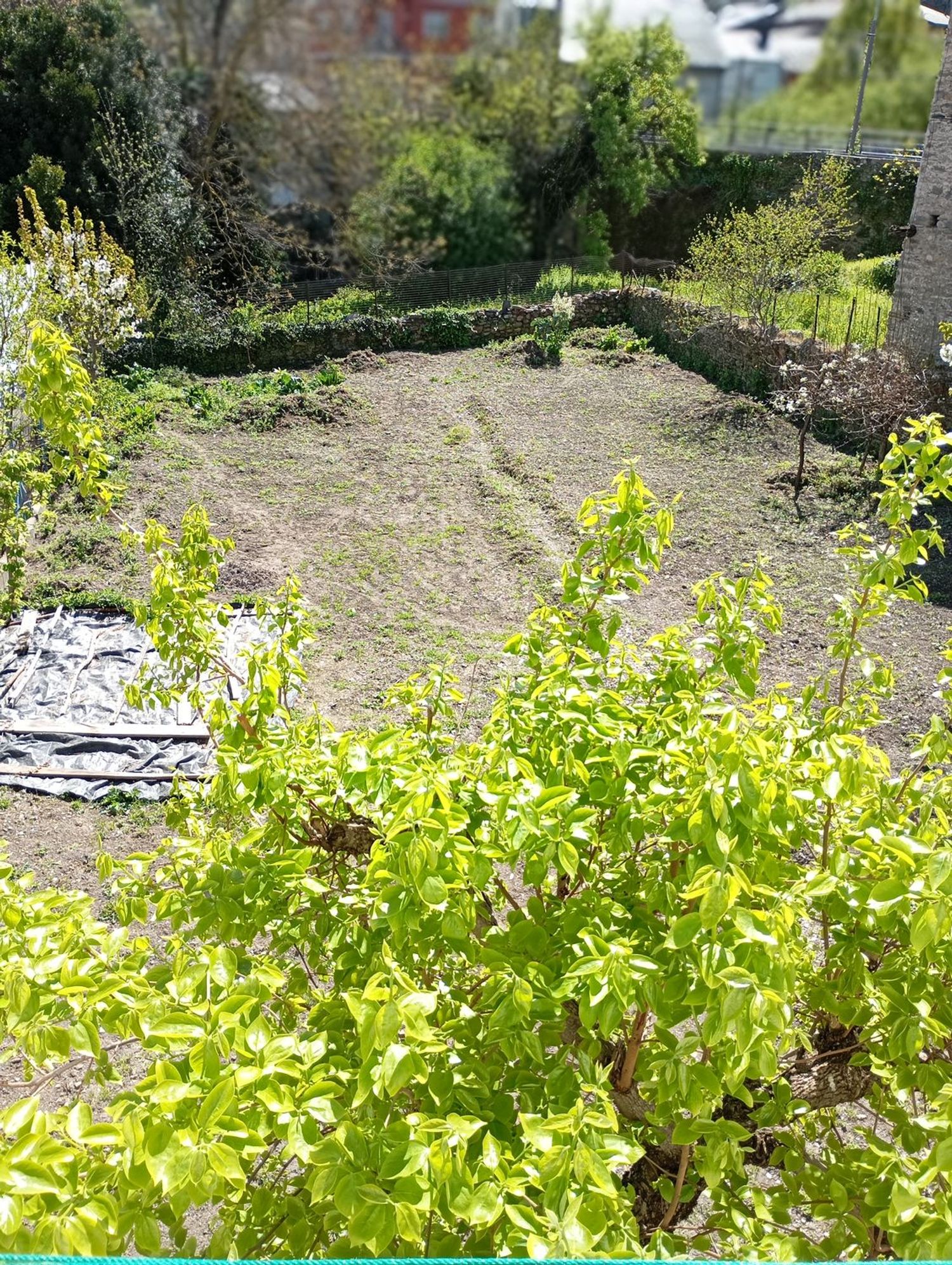 Casa de pueblo en Calle Igrexa Viloira, 15 a - Foto 10