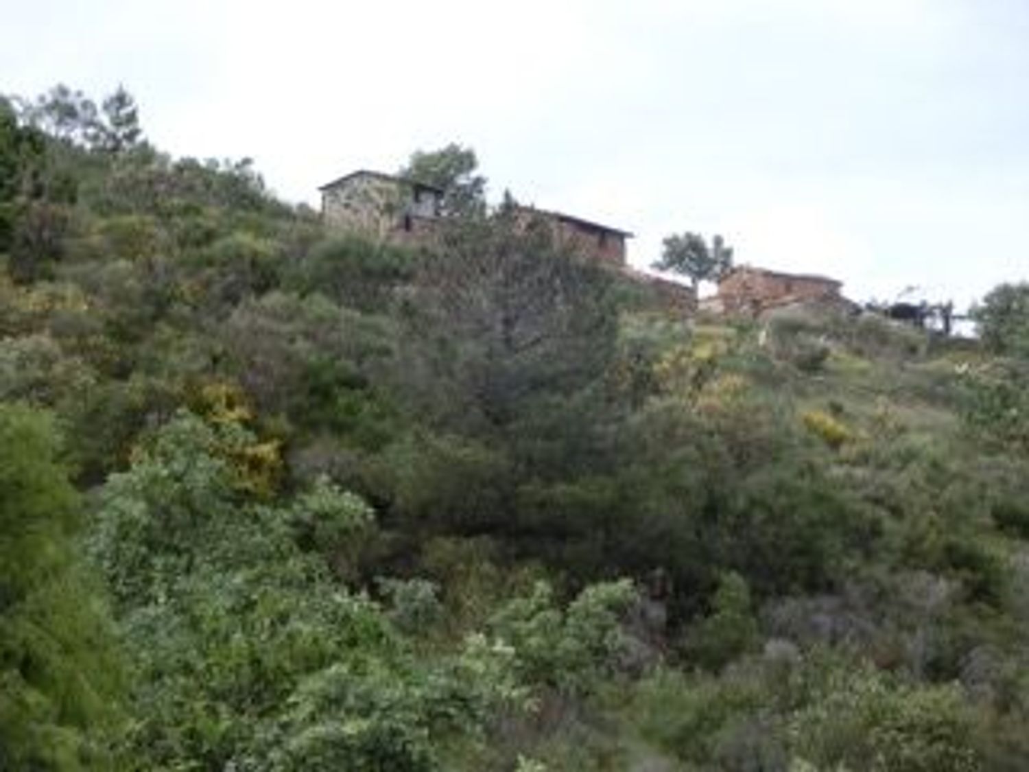 Finca rústica en Las Planas s/n - Foto 2