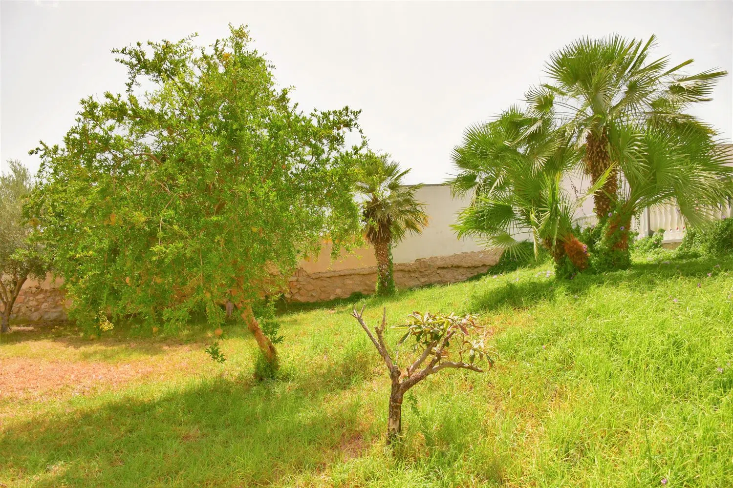 Estudio en Barrio Valle del Sol - El Portel - Foto 15