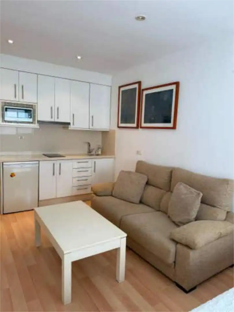 Estudio en PLAYA PUERTA DEL MAR ALMUÑECAR - Foto 2