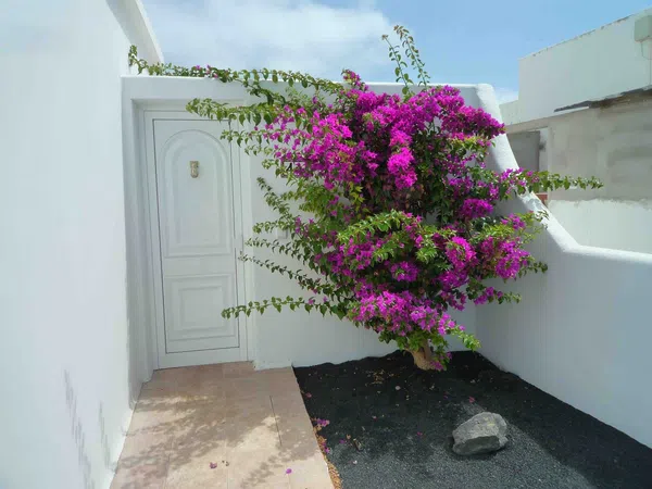 Casa o chalet independiente en Calle Cabrera Peraza, 4 a - Foto 1