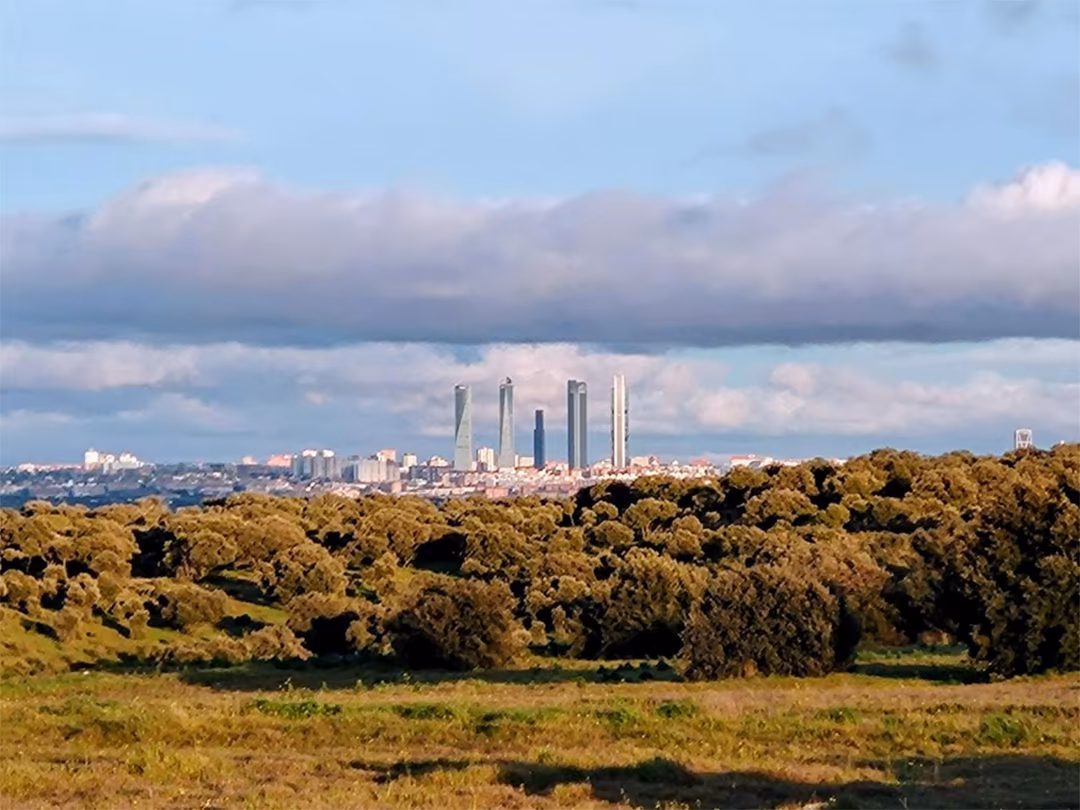 Piso en Las Rozas de Madrid - Foto 15