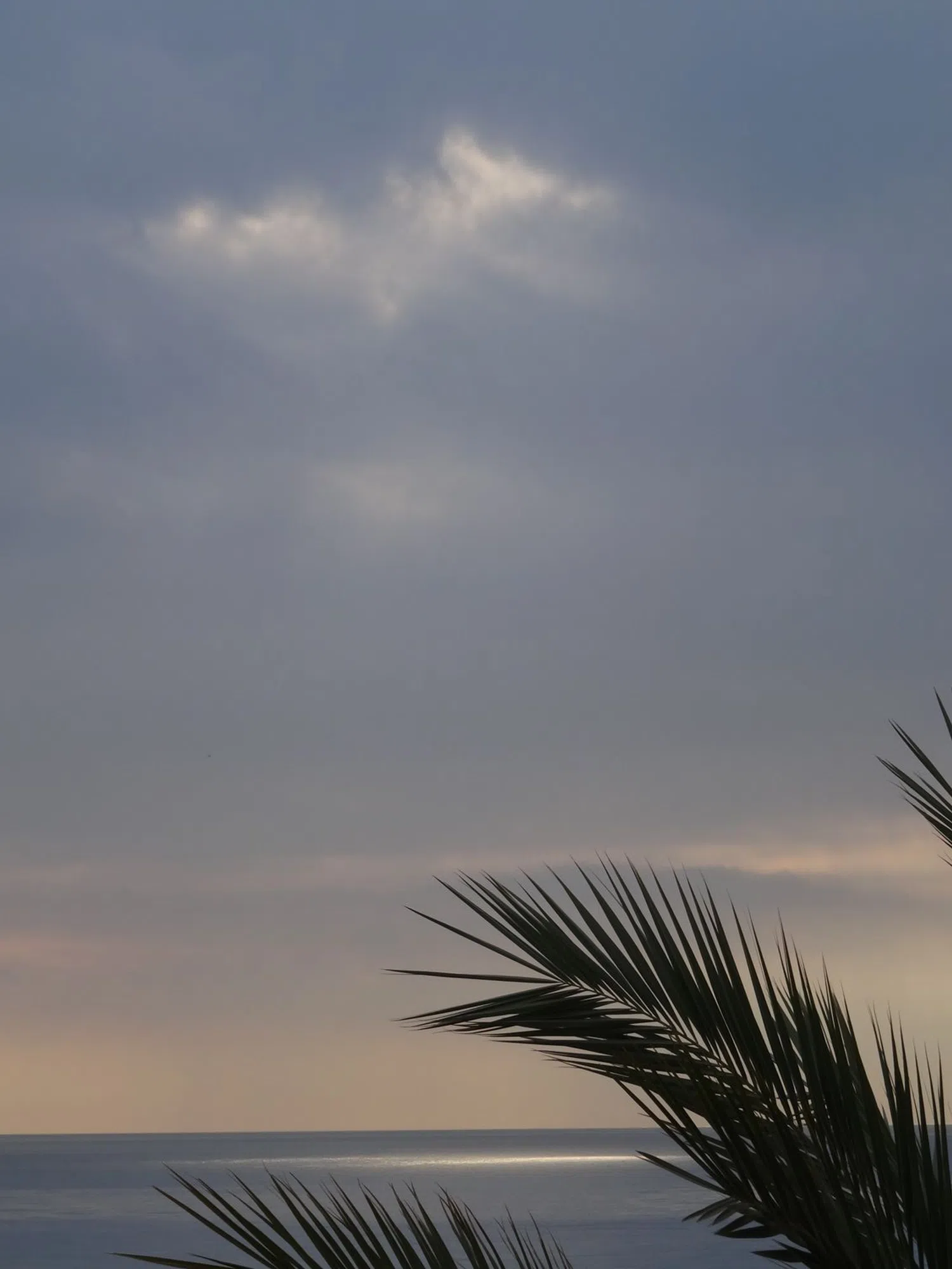 Piso en calle Pacífico, 19 - Foto 9