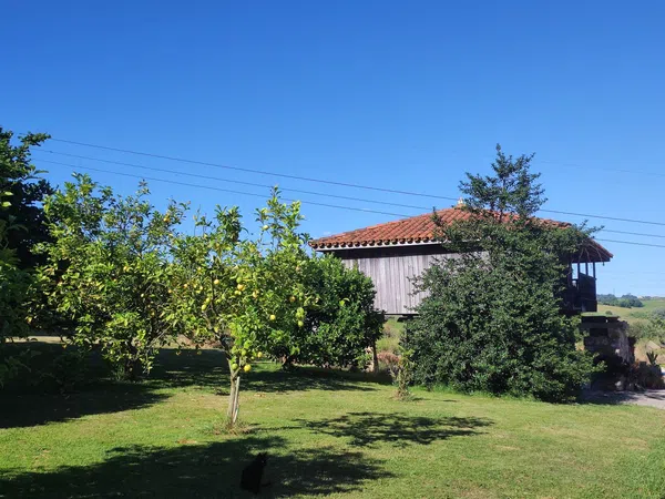 Casa o chalet independiente en Carretera de la Granda, 305, Bocines - Nembro - Cardo, Bocines - Nembro - Cardo - Foto 27