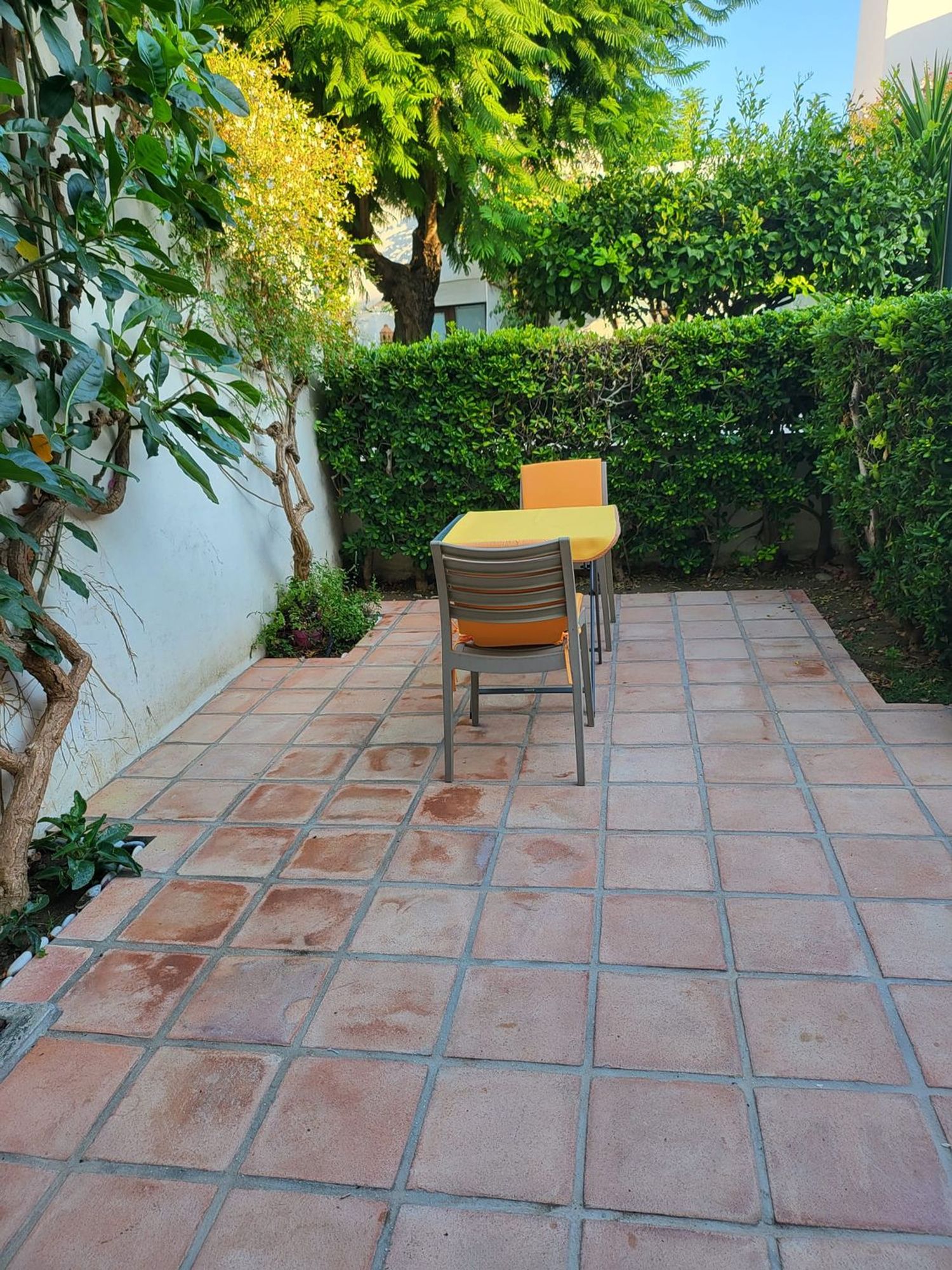 Estudio en Calle Patricia, 5, Villacana - Costalita - Saladillo - Foto 7