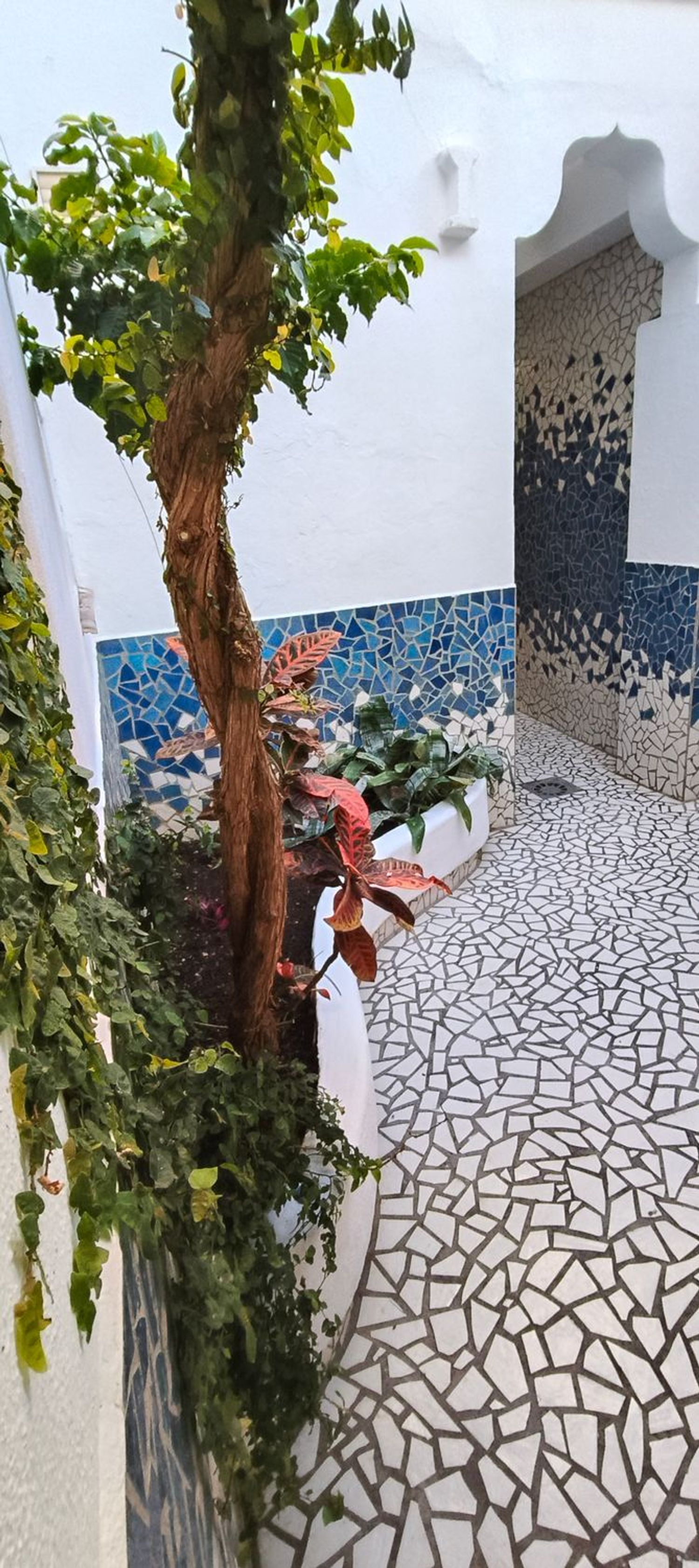 Casa independiente en calle Bailén, 24 - Foto 4