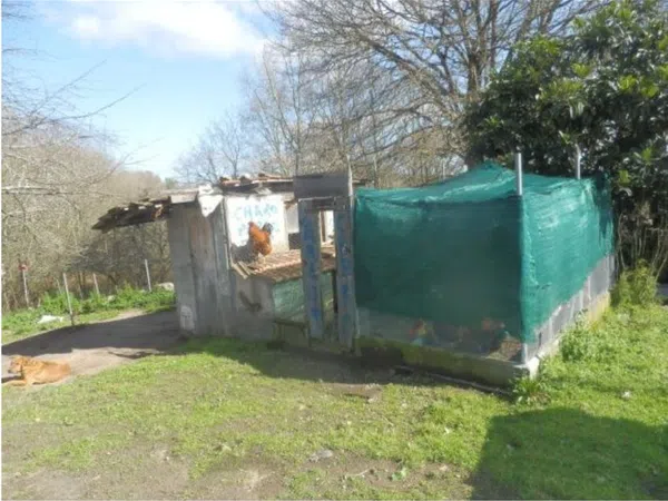 Casa de pueblo en Aldea Carballeira, 1 - Foto 6