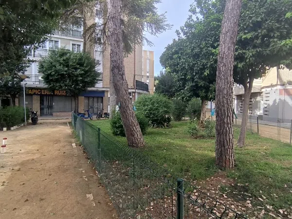 Piso en plaza Pintor Amalio García del Moral, 4 - Foto 33