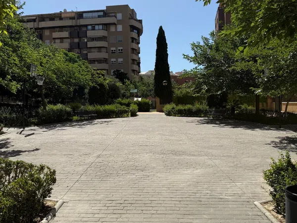Piso en Calle Pampaneira, 15, Rosaleda - Juventud - Foto 29