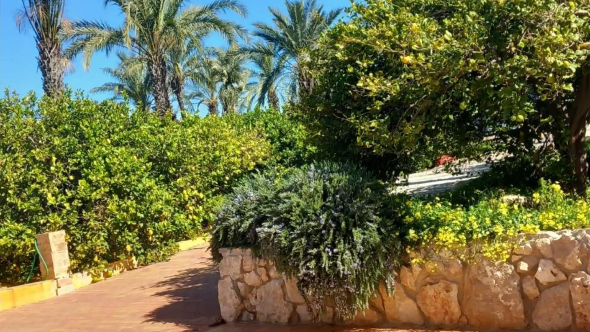 Piso en  Camino de Monteazahar 63 - Foto 5