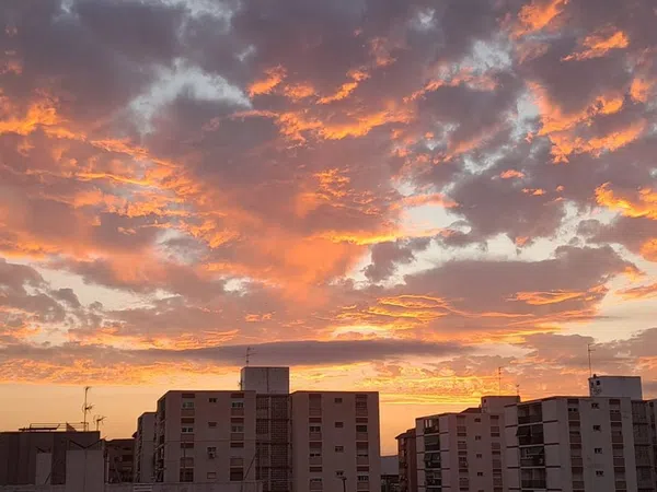 Ático en calle Arturo, 13 - Foto 31