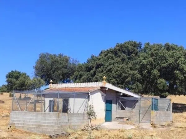 Finca rústica en Avenida de Constitución s/n - Foto 24