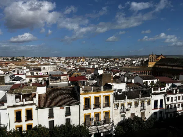 Piso en calle de Ambrosio de Morales, 1 - Foto 10