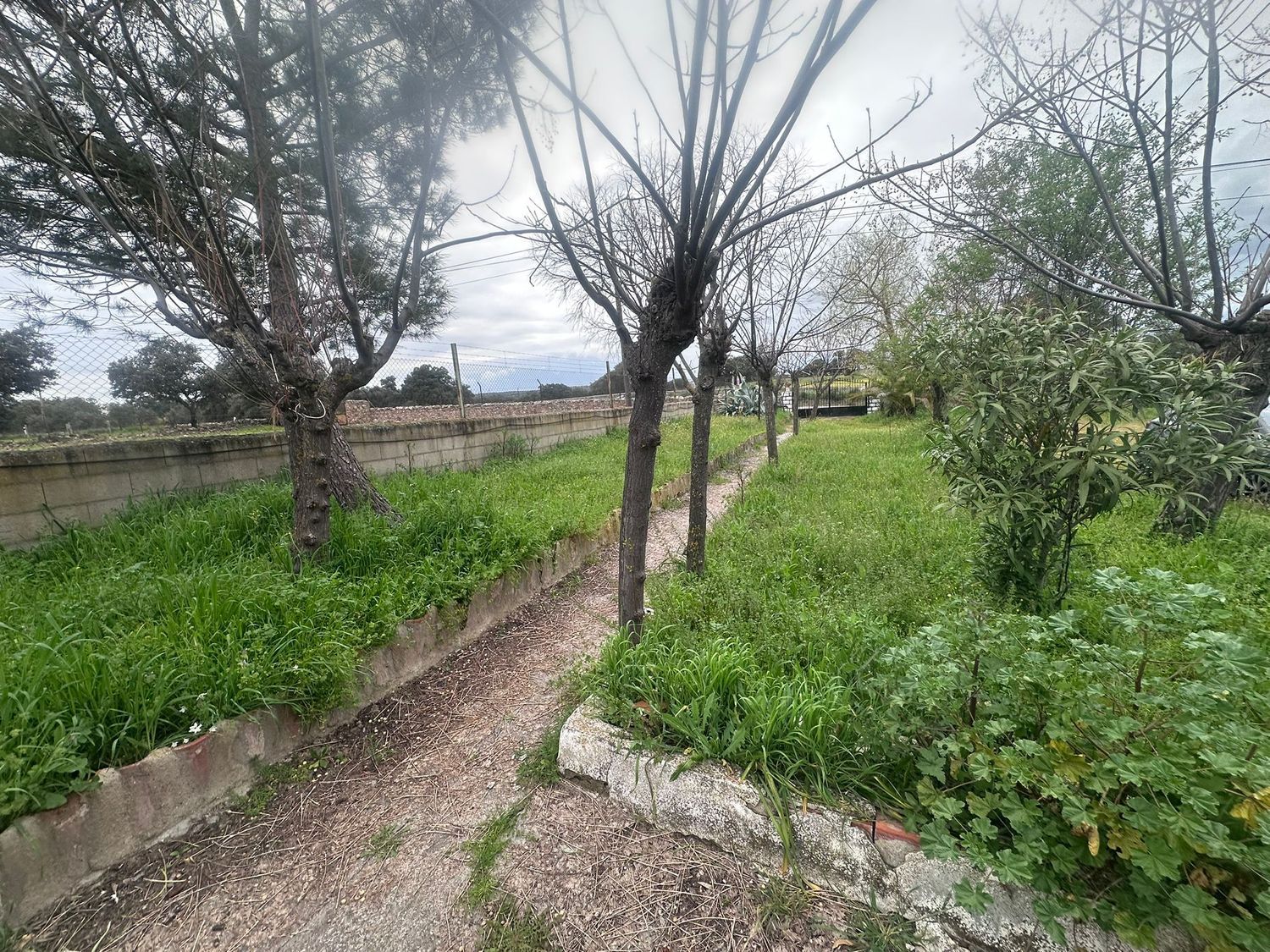 Finca rústica en Calle Pozoblanco s/n - Foto 29
