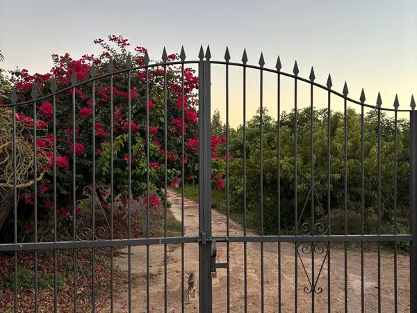 Finca rústica en Diseminado Diseminados, 544, Avda Pescia - Ctra de Frigiliana, Avda Pescia - Ctra de Frigiliana - Foto 1