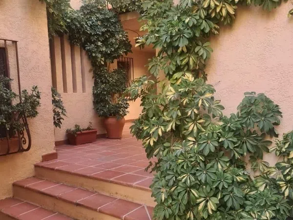 Piso en Calle Currica, 50, Zona de Mascarat, Zona de Mascarat - Foto 31