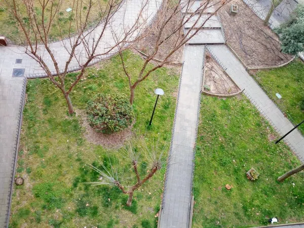 Piso en Plaza de Buenavista, 12, El Pijorro, El Pijorro - Foto 9