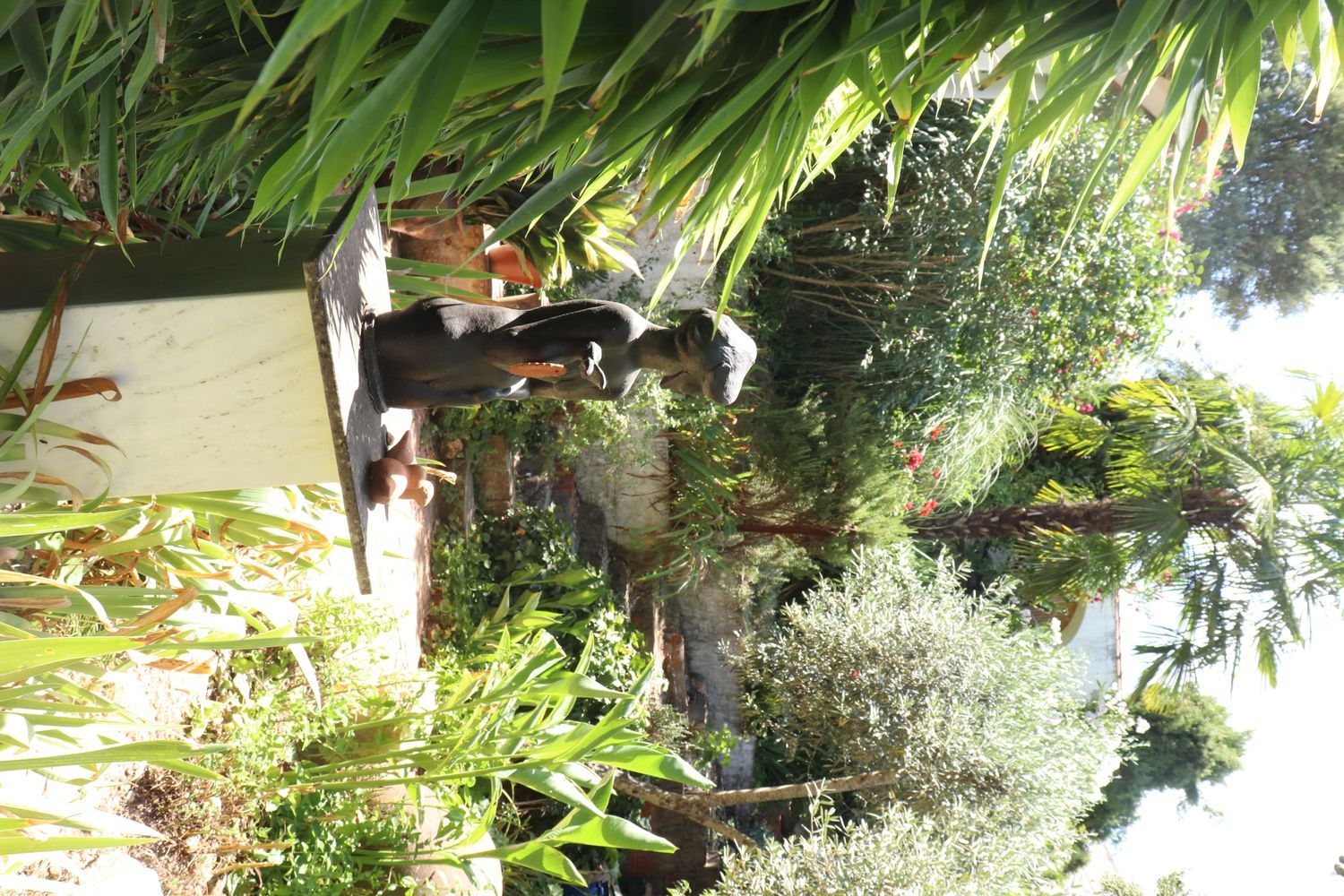 Chalet pareado en carretera Cc-431 s/n - Foto 21