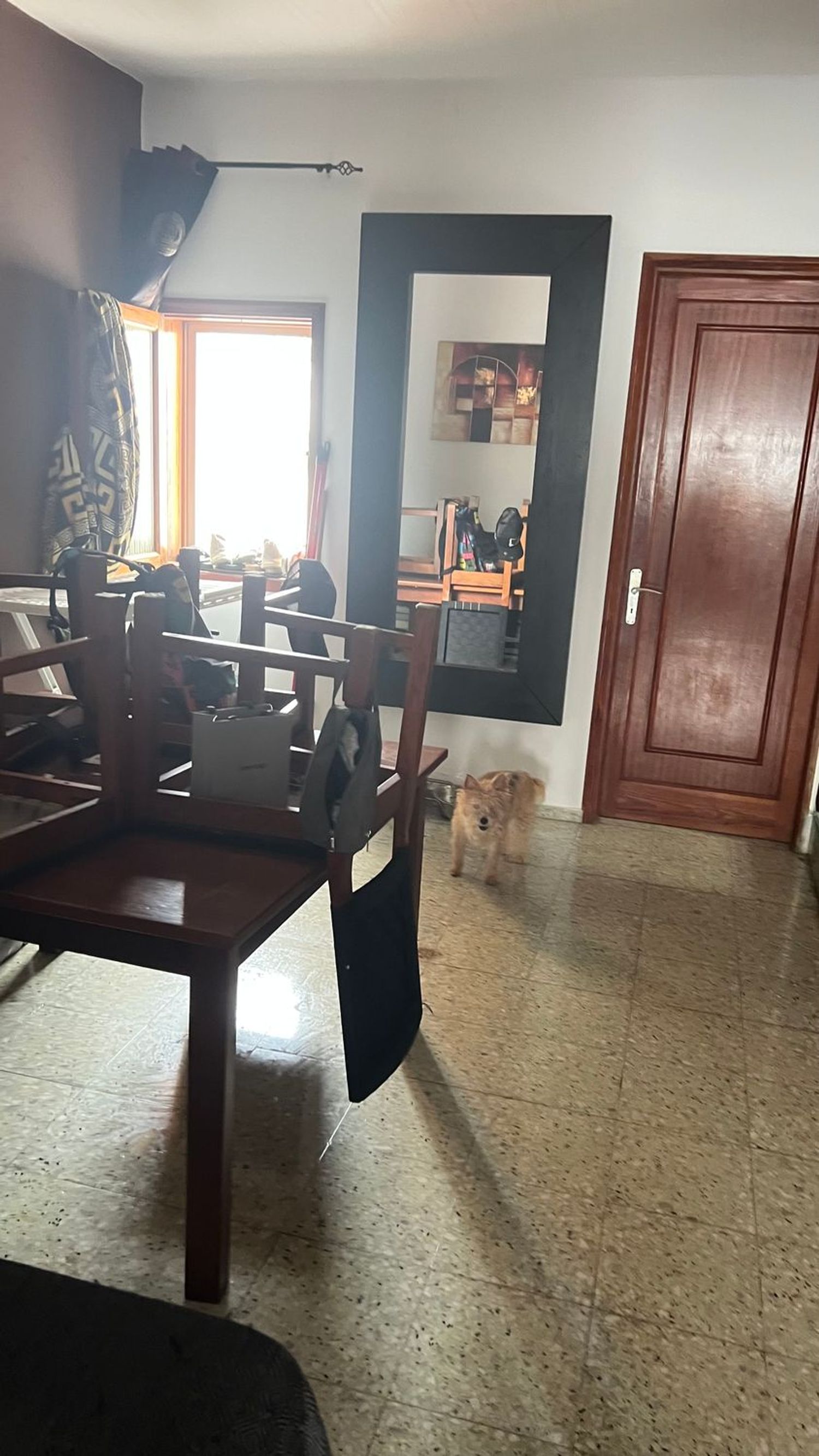 Piso en Calle Doña Perfecta, 29, Schamann - Rehoyas - Foto 3