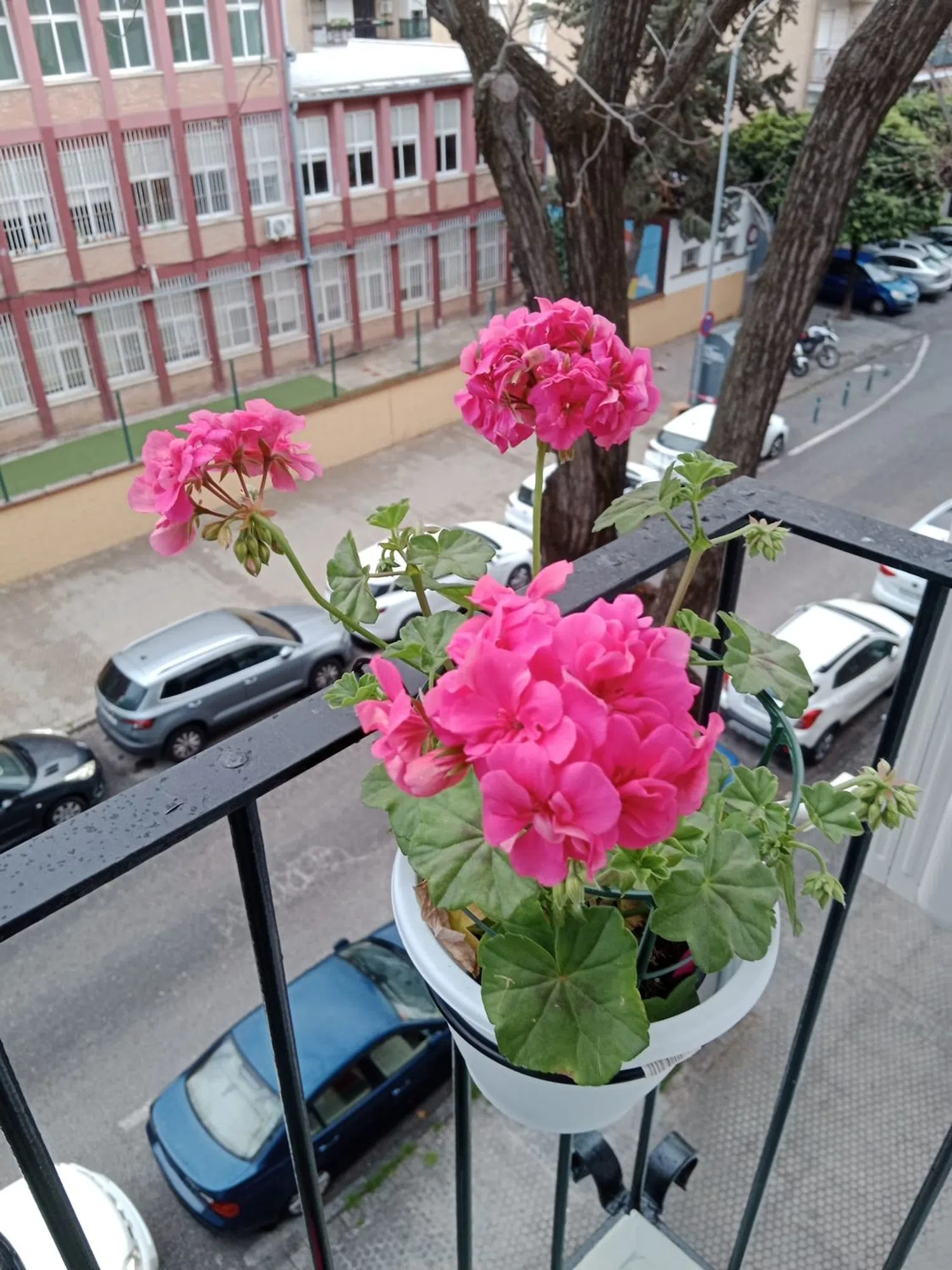 Piso en Juan Diaz de Solis, 6 - Foto 3