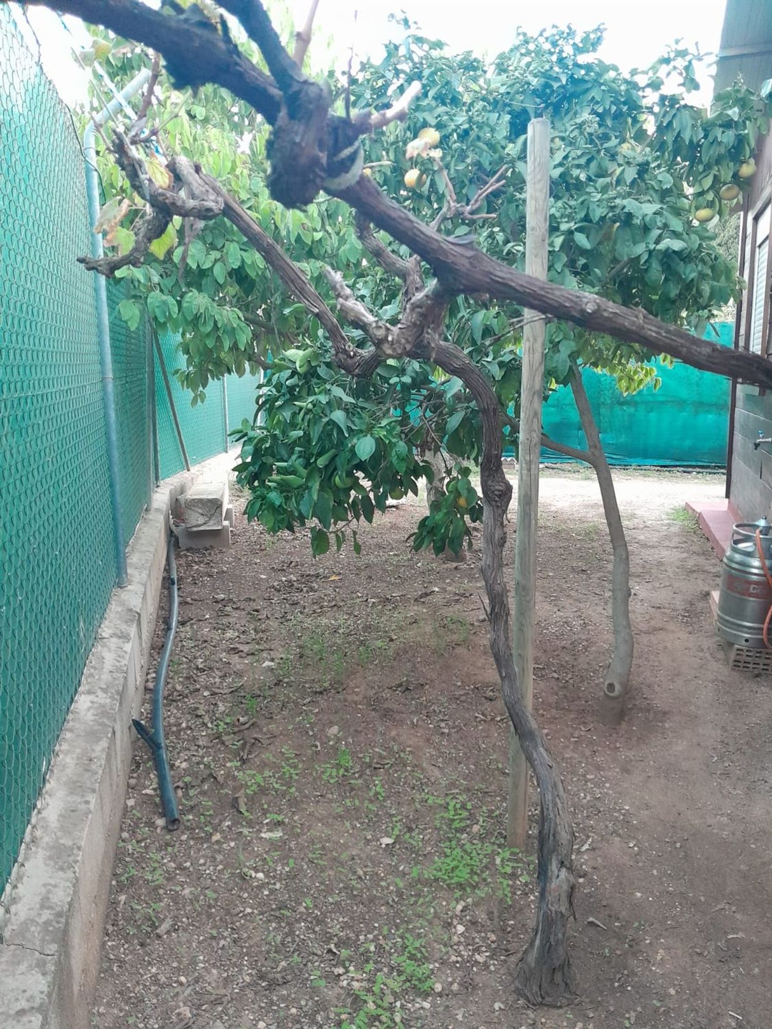Casa o chalet independiente en Carretera de Álora, 1 a, Pizarrillo - El Retiro - Foto 19