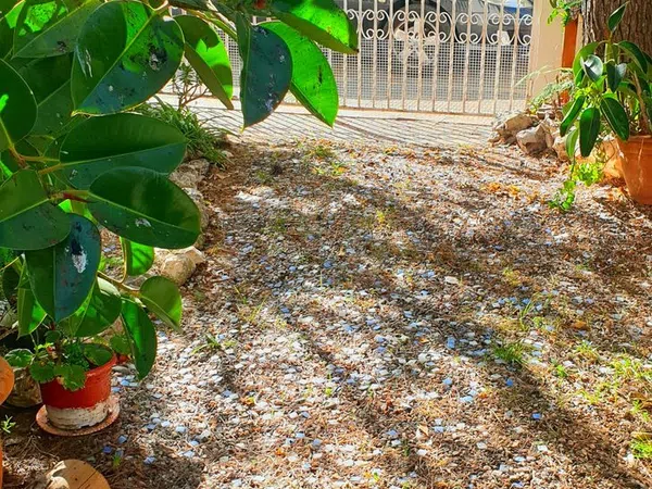 Chalet adosado en avenida dels Pins, 23 - Foto 28