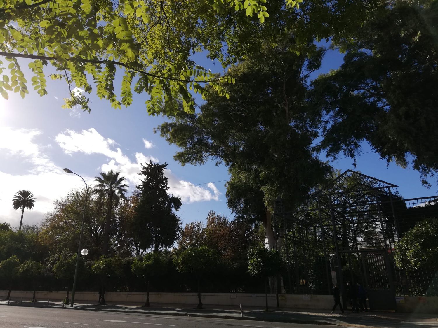 Piso en Barrio Puerta Carmona-Puerta Osario-Amador de los Ríos - Foto 2