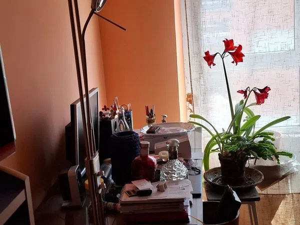 Piso en Menendez y Pelayo, 11 - Foto 1