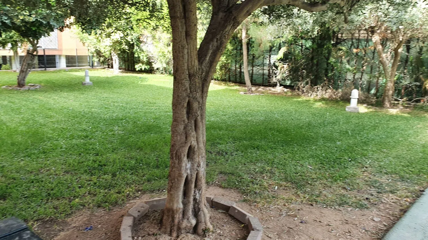 Piso en avenida de la Innovación, 13 - Foto 3