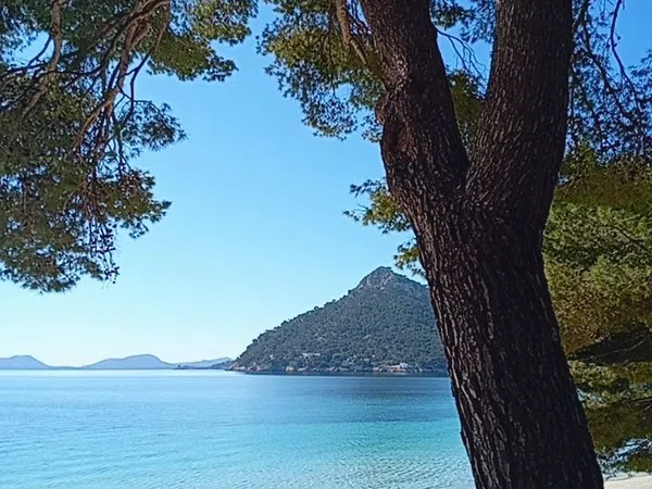 Piso en 20, 20, Port de Pollença, Port de Pollença - Foto 1