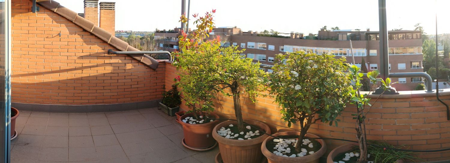 Dúplex en calle Picasso, 1 - Foto 35