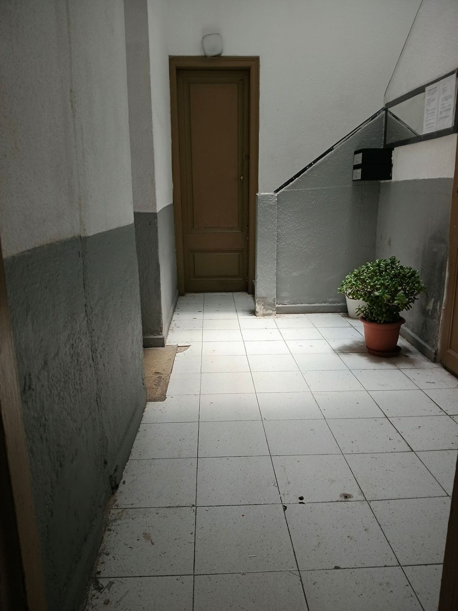 Local en Calle Mas, 117 - Foto 6