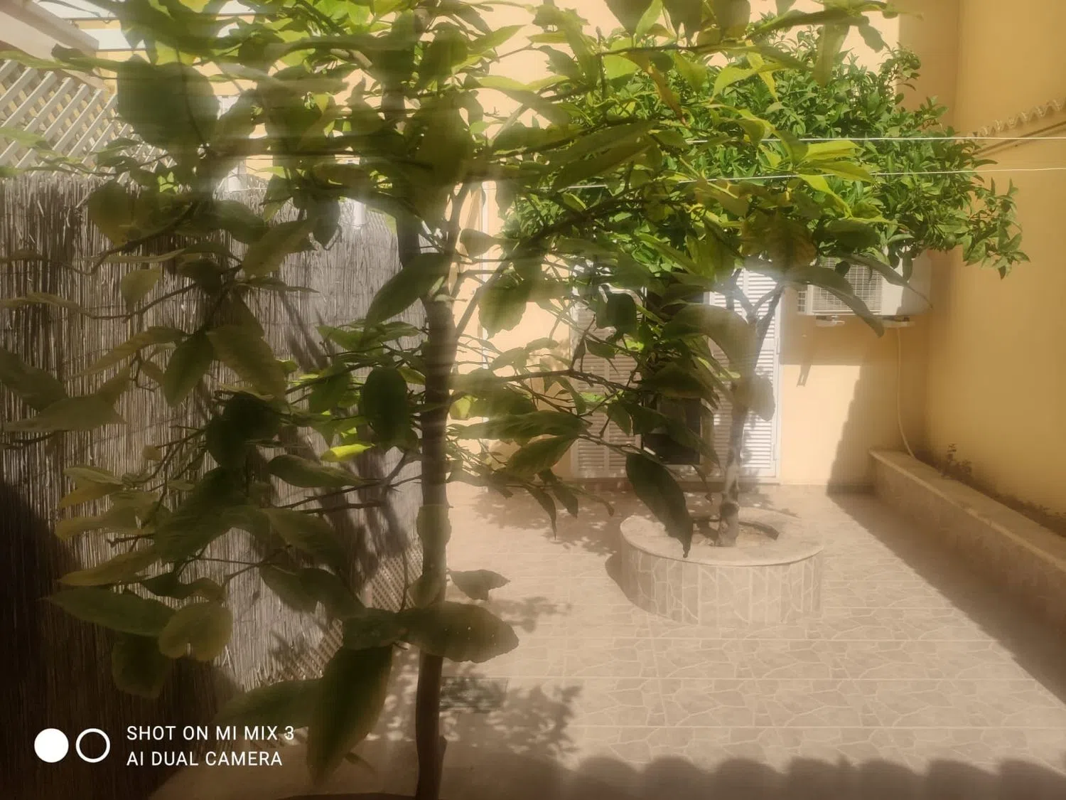 Piso en calle de Despuig, 15 - Foto 6