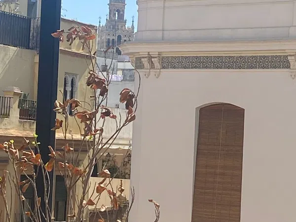 Ático en Calle Galera, 50, Arenal - Museo - Tetuán - Foto 1