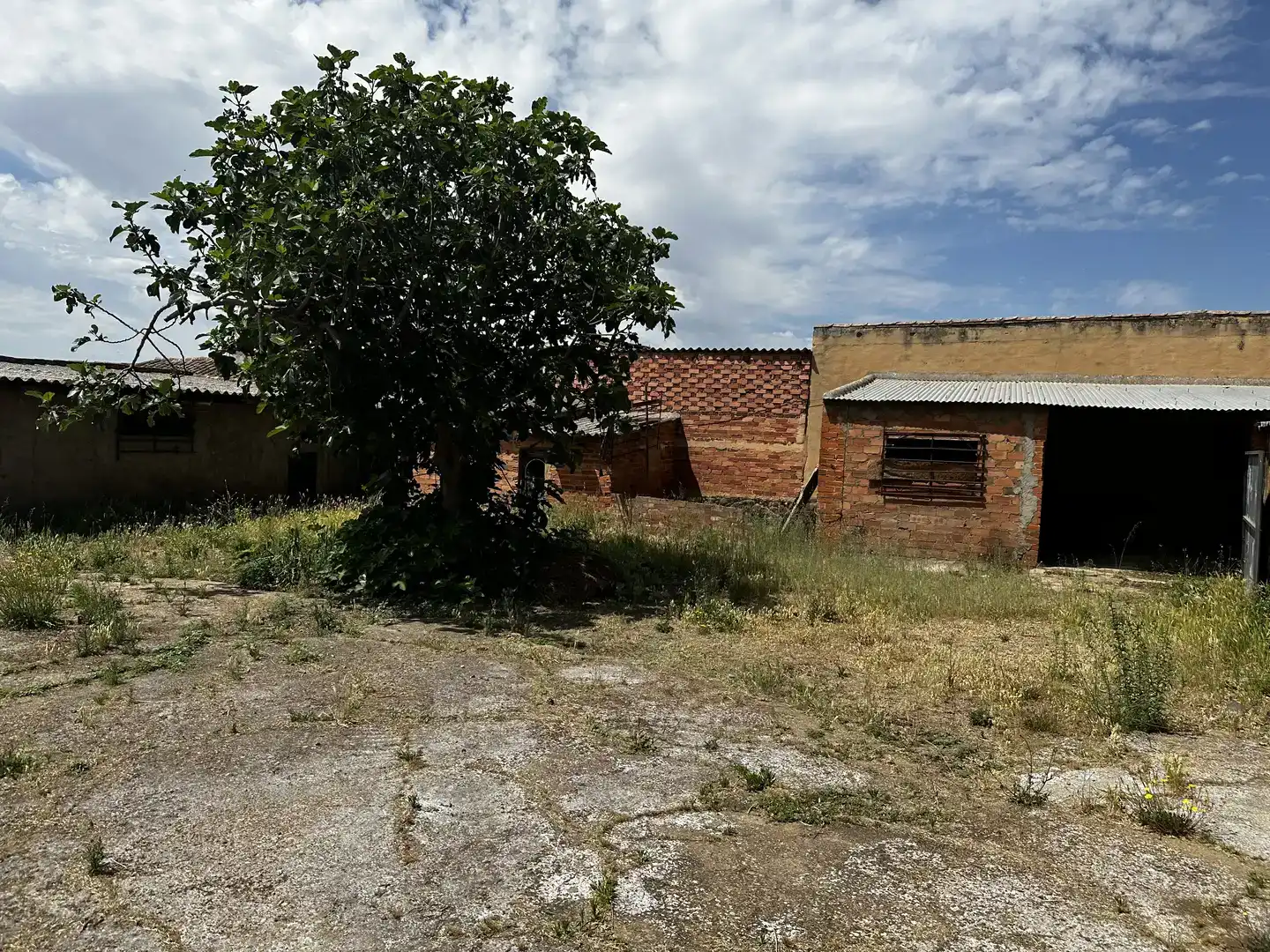 Finca rústica en  Calle Quevedo 8 - Foto 4