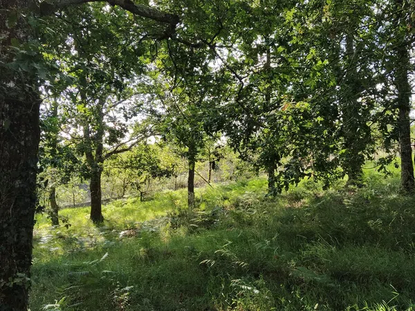 Casa rural en Senin, 6 - Foto 6