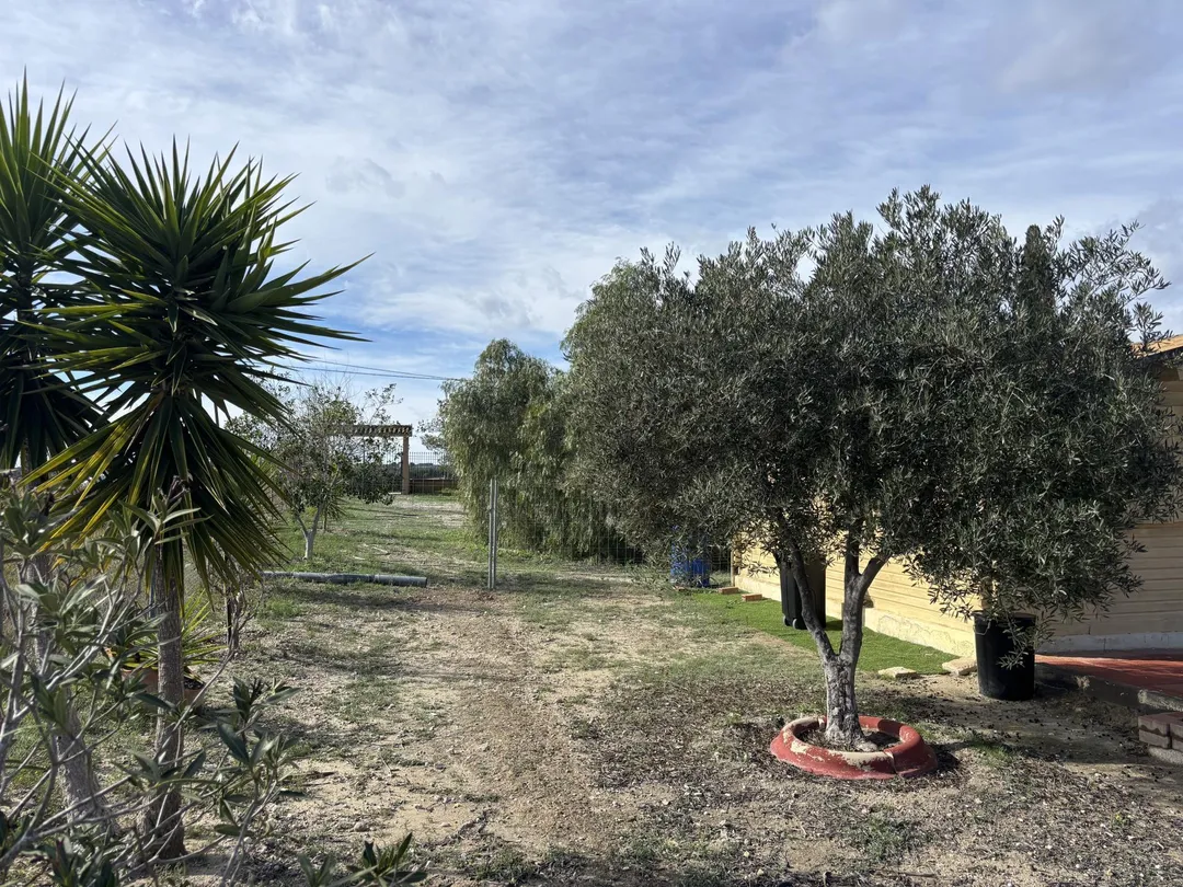 Finca rústica en  Calle Fc Ladrillo 11 - Foto 10
