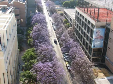 Piso en  Carrer de Gascó Oliag 6 - Foto 1
