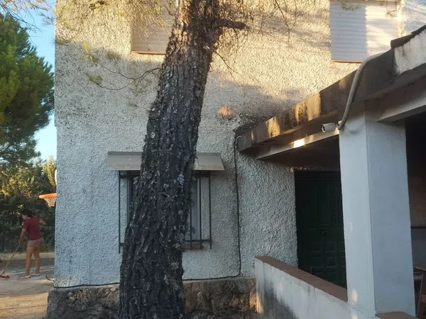 Finca rústica en Calle la Fuente, 2 - Foto 12