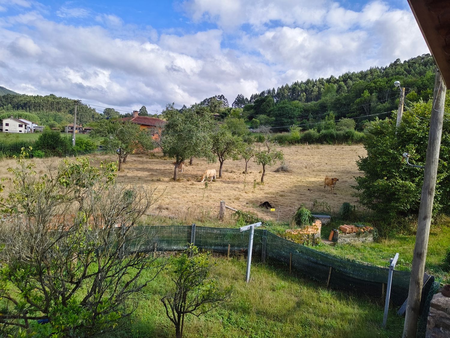 Casa rural en Aldea Onon, 8, Selorio - Tornón, Selorio - Tornón - Foto 6