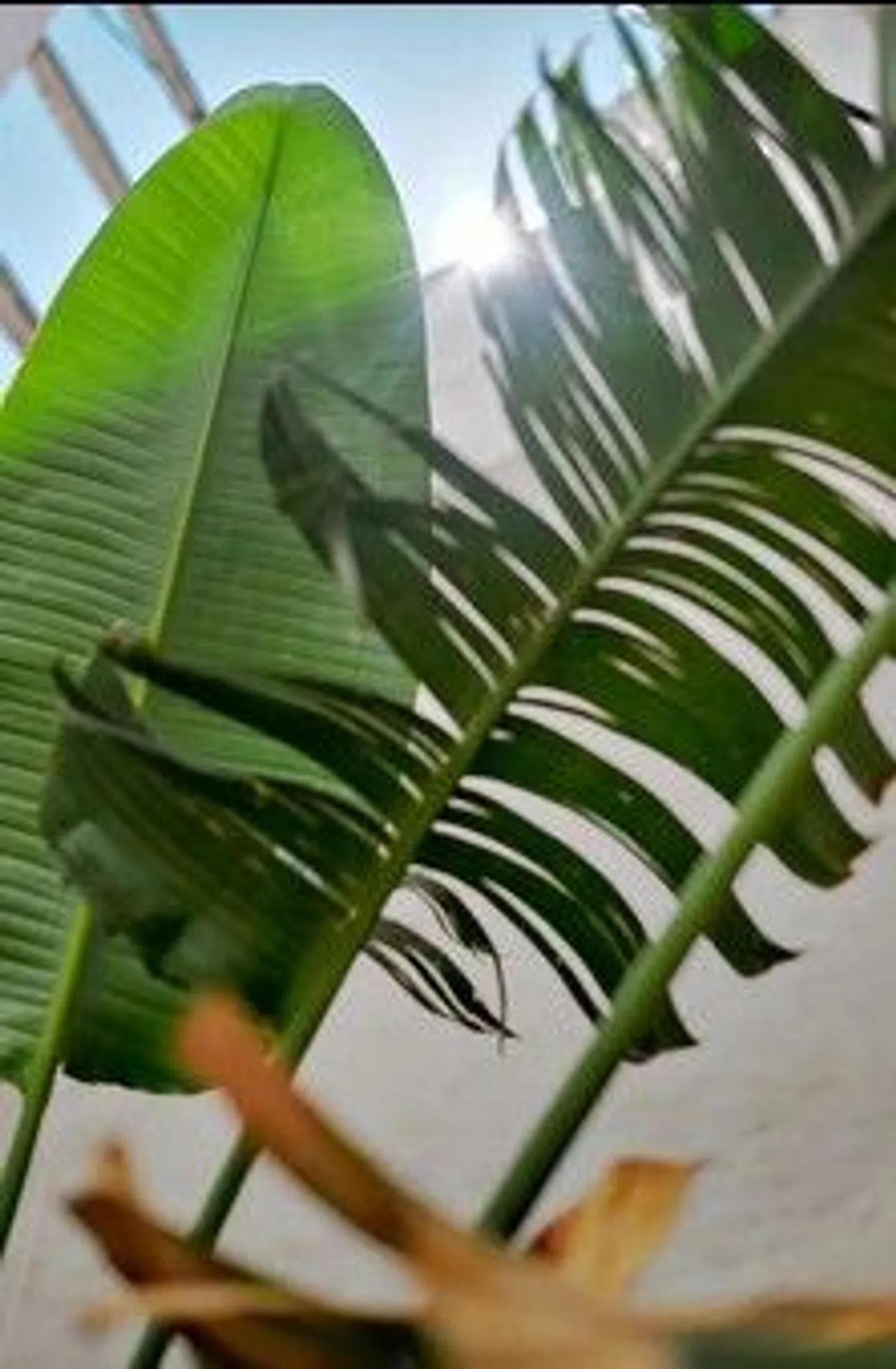 Estudio en calle Victorio, 8 - Foto 16